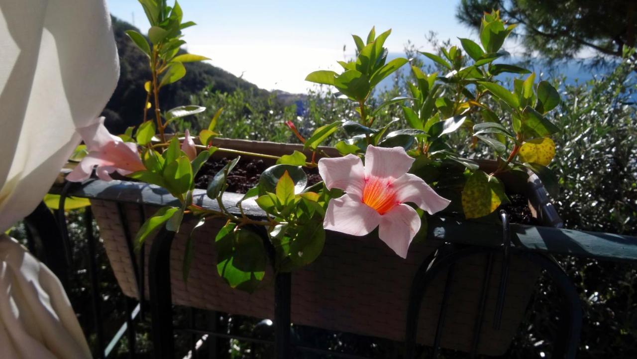 La Casa Dei Limoni Bed & Breakfast เจนัว ภายนอก รูปภาพ